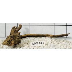 Mangrovewood 143