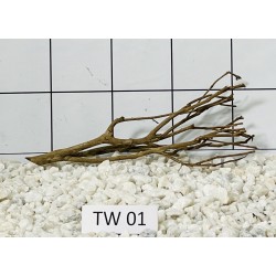 Talawa wood 01