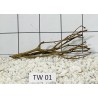 Talawa wood 01