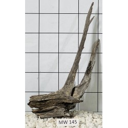 Mangrovewood 145