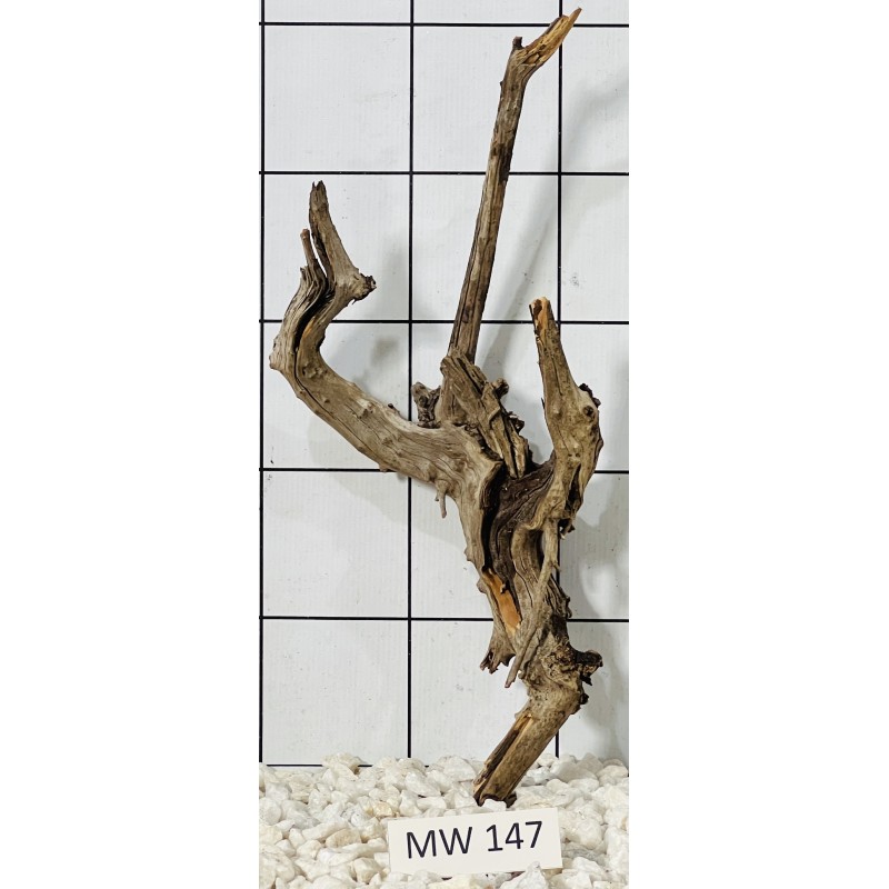 Mangrovewood 147