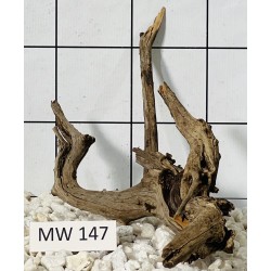 Mangrovewood 147