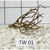 Talawa wood 01
