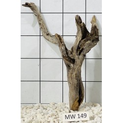Mangrovewood 149