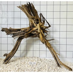 Mangrovewood 150