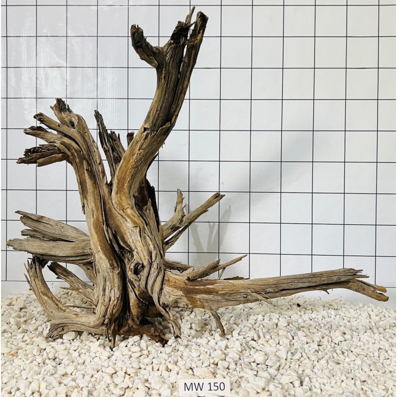 Mangrovewood 150