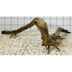 Mangrovewood 152