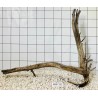 Mangrovewood 152