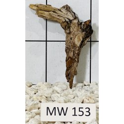 Mangrovewood 153