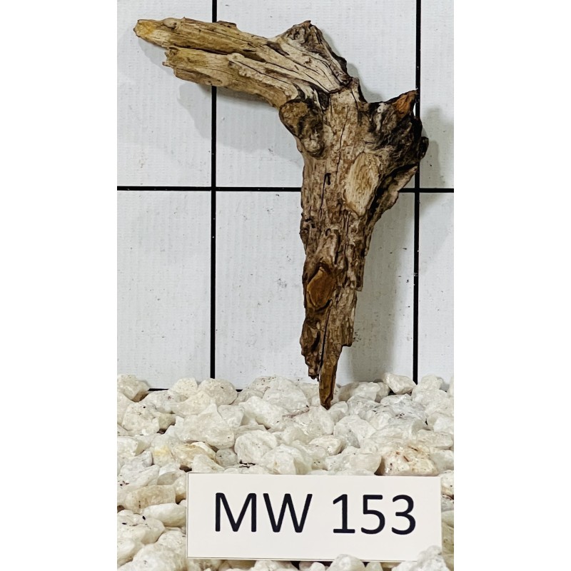 Mangrovewood 153