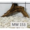 Mangrovewood 153