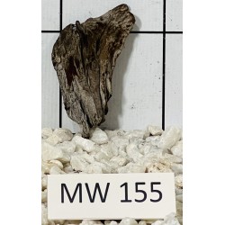 Mangrovewood 155
