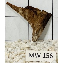 Mangrovewood 156