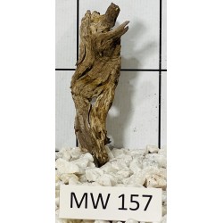 Mangrovewood 157