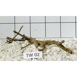 Talawa wood 02