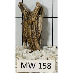 Mangrovewood 158