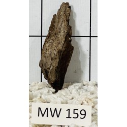 Mangrovewood 159