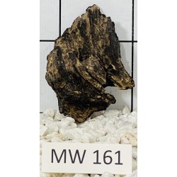 Mangrovewood 161