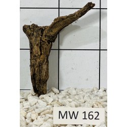 Mangrovewood 162