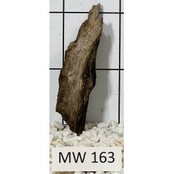 Mangrovewood 163