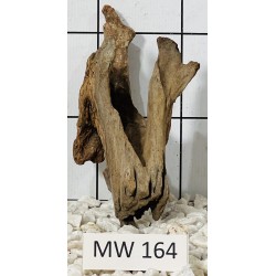 Mangrovewood 164