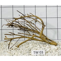 Talawa wood 03