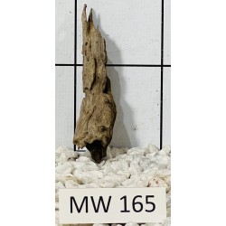 Mangrovewood 165