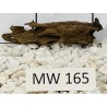 Mangrovewood 165