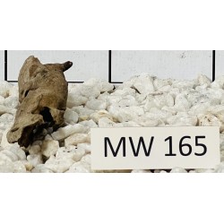Mangrovewood 165