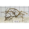 Talawa wood 03
