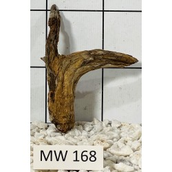 Mangrovewood 168
