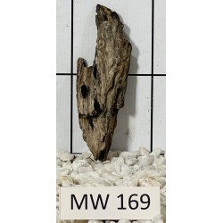Mangrovewood 169