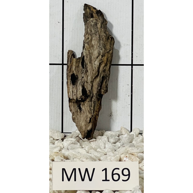 Mangrovewood 169