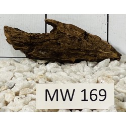 Mangrovewood 169