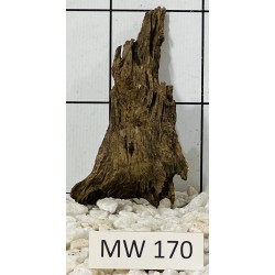 Mangrovewood 170