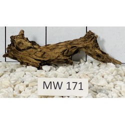 Mangrovewood 171