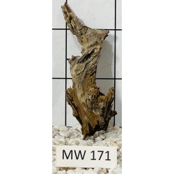 Mangrovewood 171
