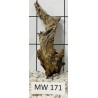 Mangrovewood 171