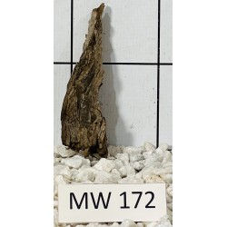 Mangrovewood 172