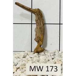 Mangrovewood 173