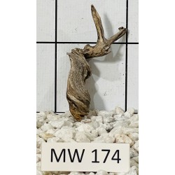 Mangrovewood 174