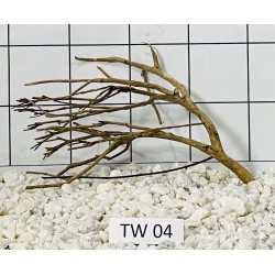 Talawa wood 04