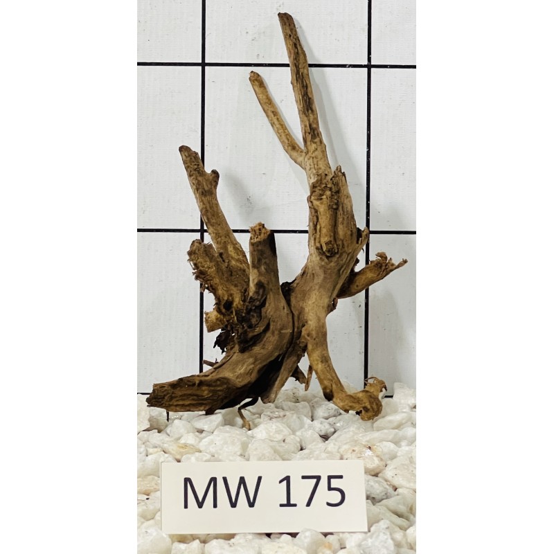 Mangrovewood 175