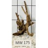 Mangrovewood 175