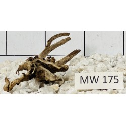 Mangrovewood 175