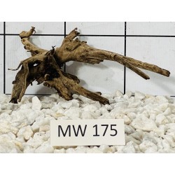 Mangrovewood 175