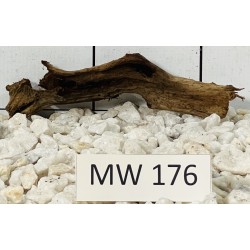 Mangrovewood 176