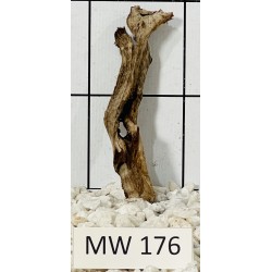 Mangrovewood 176