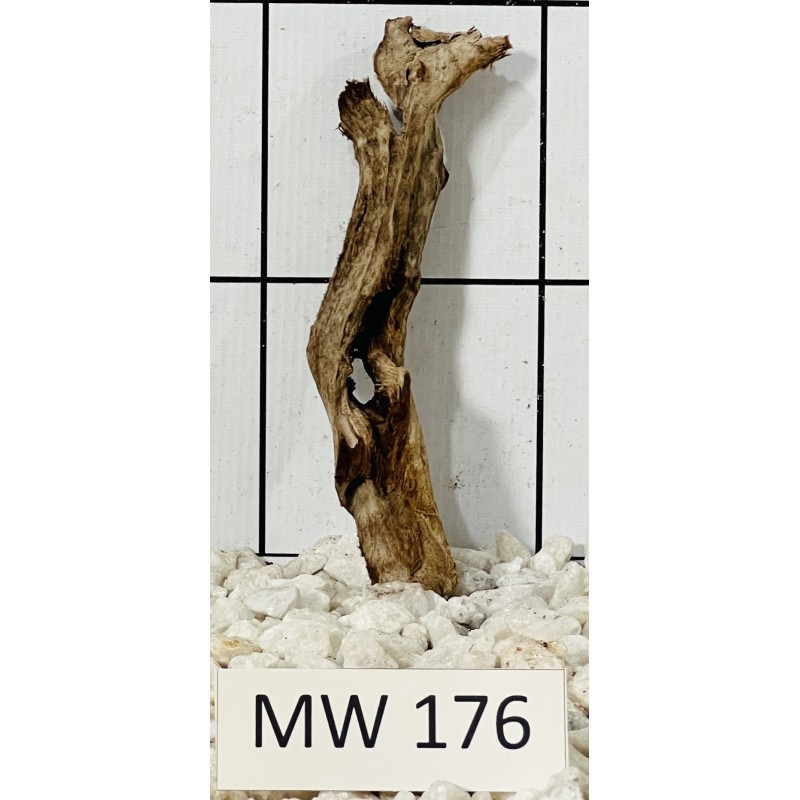 Mangrovewood 176