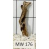 Mangrovewood 176